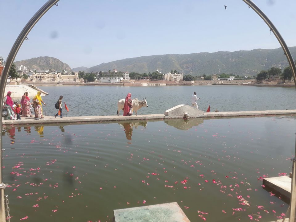 Photo of Creator's Abode : Pushkar by Arpita Bose Sinha