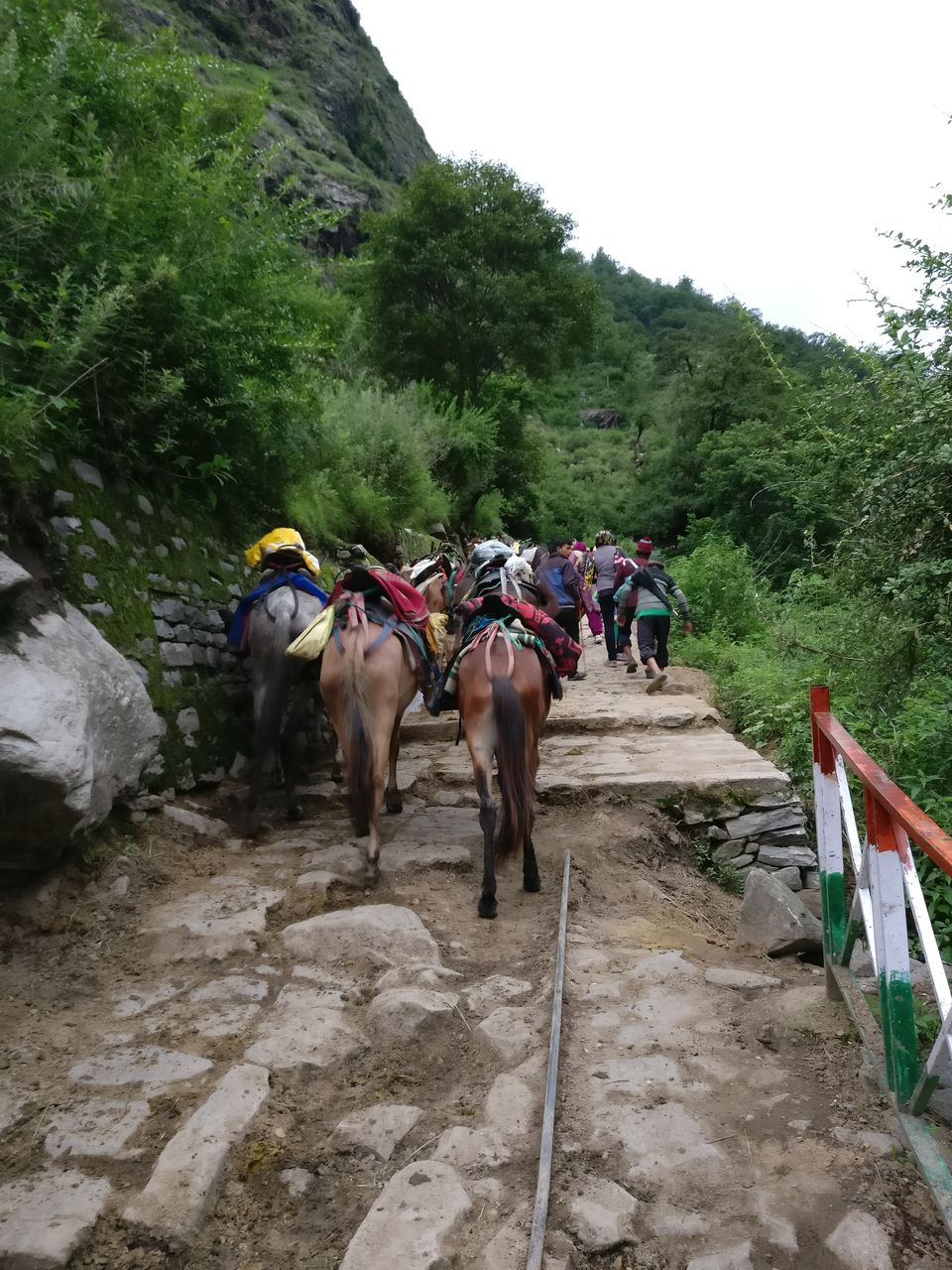 Photo of Govindghat, Uttarakhand, India by Satyen