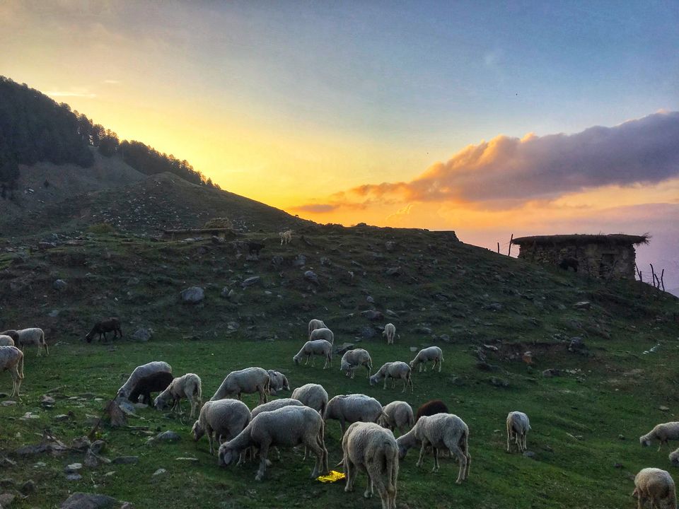 Photo of The hidden gems of Mandi 4/6 by Tanya Issar