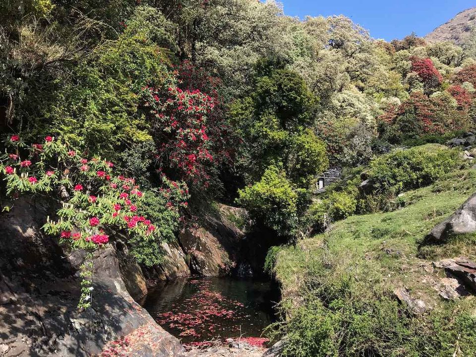 Photo of The hidden gems of Mandi by Tanya Issar
