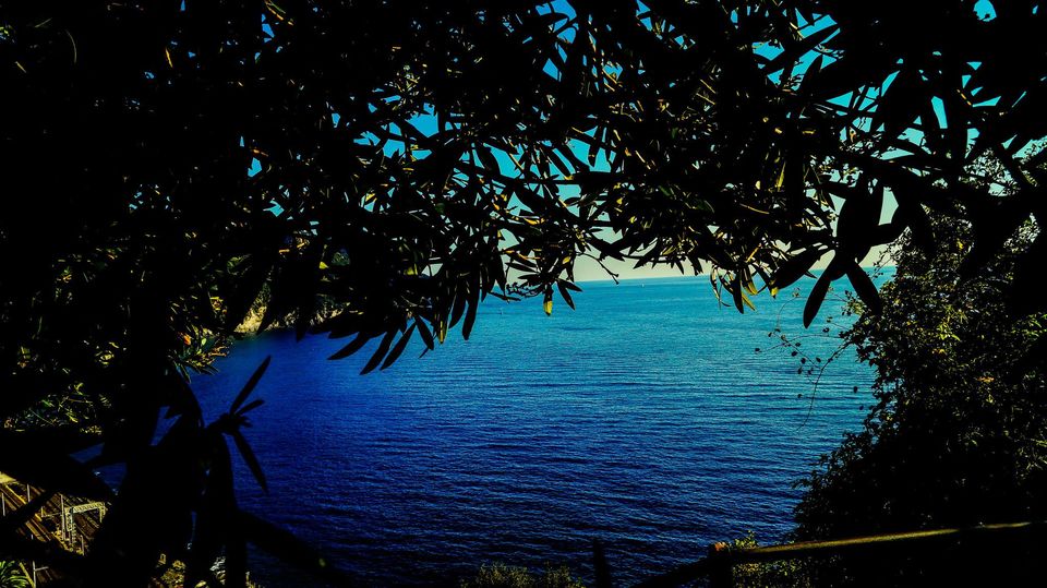 Photo of Cinque Terre. 12/21 by Agnirudra Sikdar