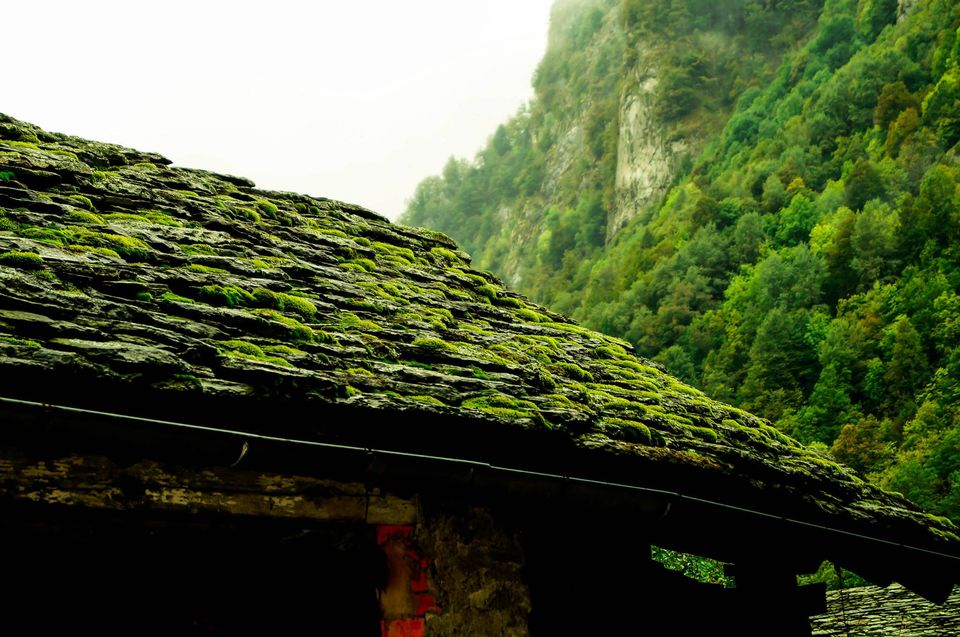 Photo of Piedmont- Redefining Nature 15/18 by Agnirudra Sikdar