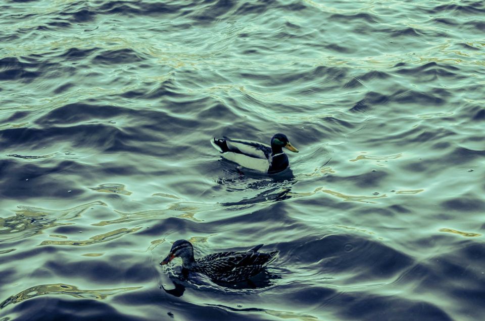 Photo of Lago di Como (Lake Como) 19/31 by Agnirudra Sikdar