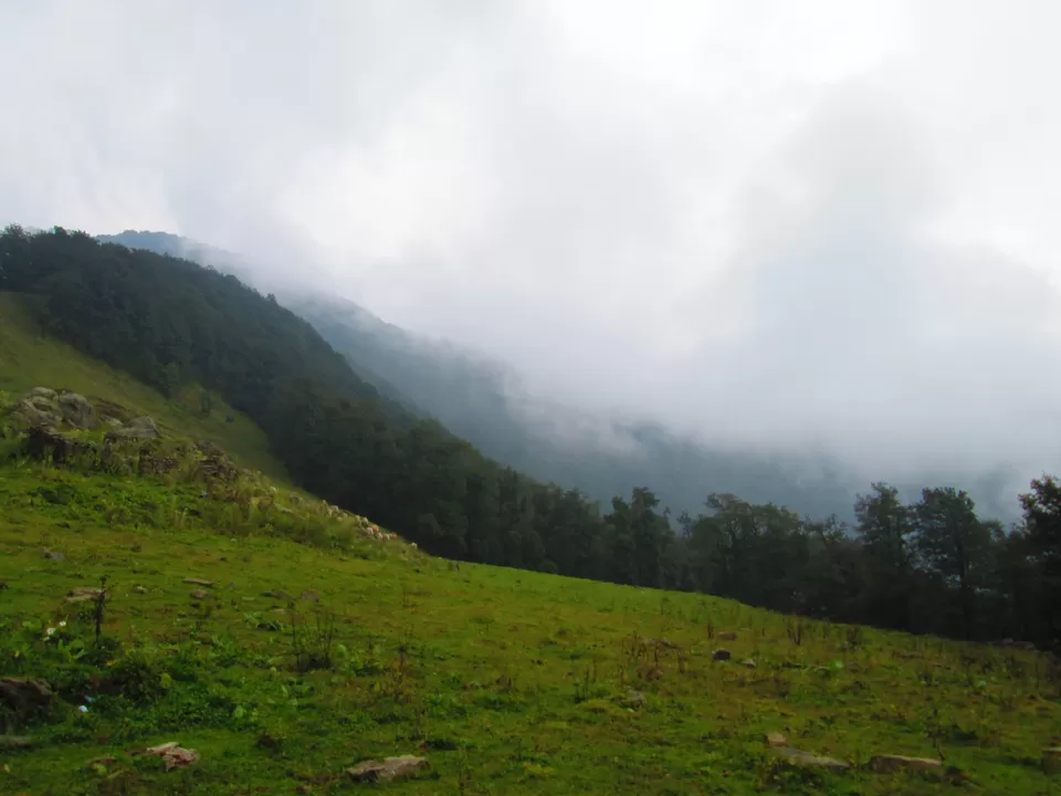 Photo of Mindrolling Buddhist Society by Akanksha Singh