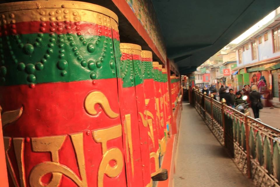 Photo of Wallowing in Mcleodganj 8/30 by suviss86