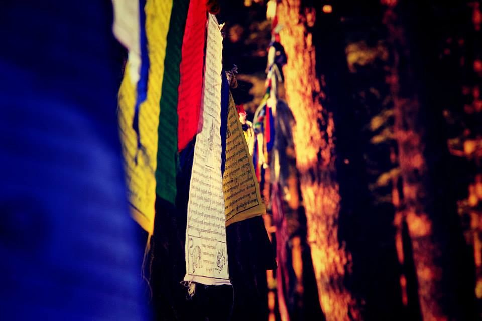 Photo of Wallowing in Mcleodganj 9/30 by suviss86