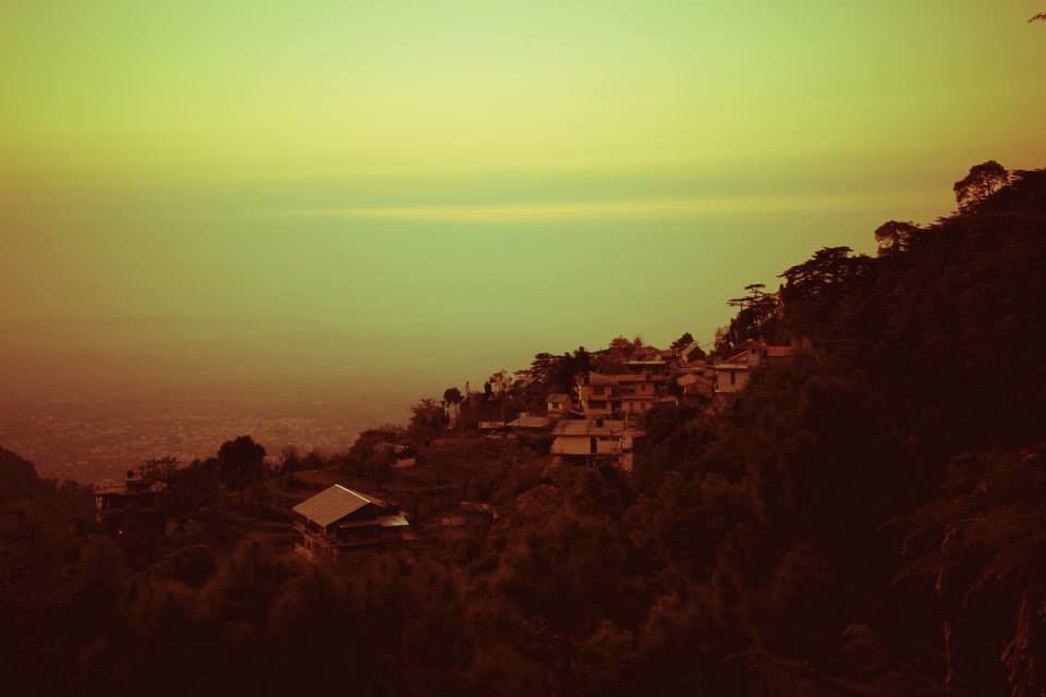 Photo of Wallowing in Mcleodganj 19/30 by suviss86