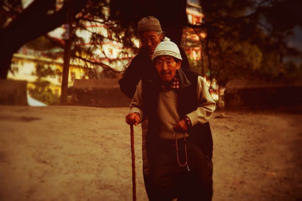 Photo of Wallowing in Mcleodganj 30/30 by suviss86