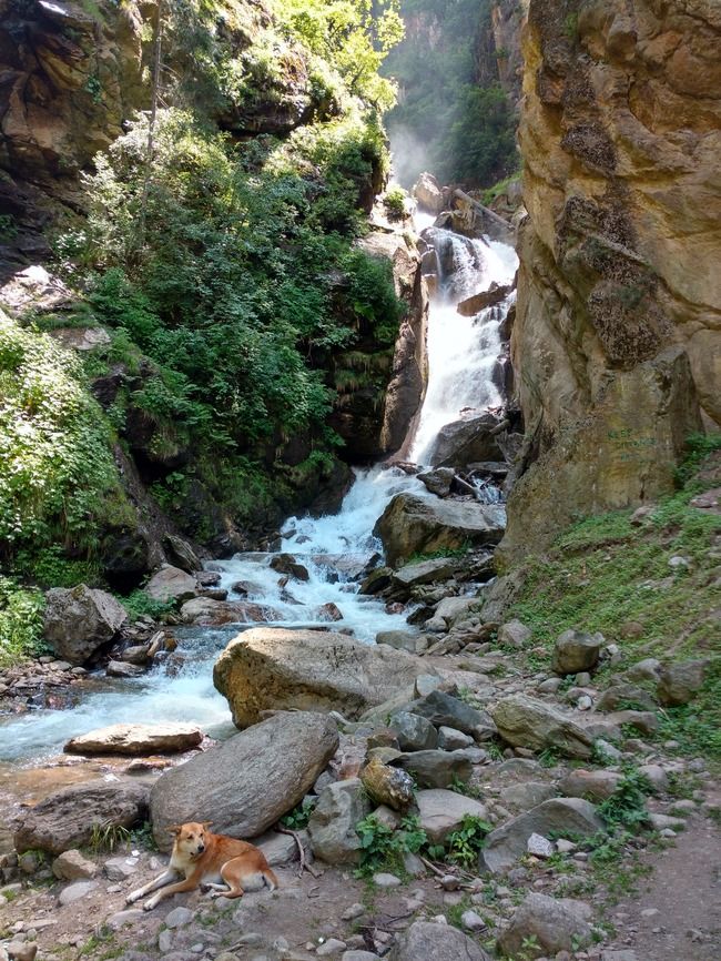 Photo of Kheerganga, a trip that changed my whole perspective about trekking. 5/10 by Shantanu Raj