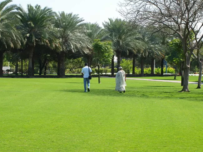 Photo of Creek Park - Dubai - United Arab Emirates by Neha Singh