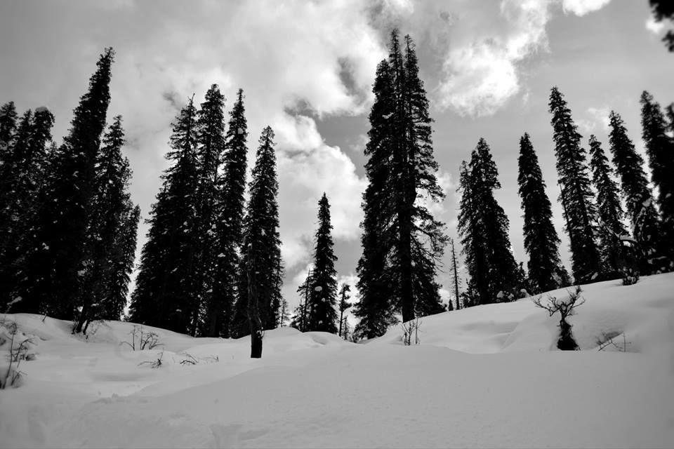Photo of The Heights of Uttarakhand 5/15 by Kaushik Banerjee