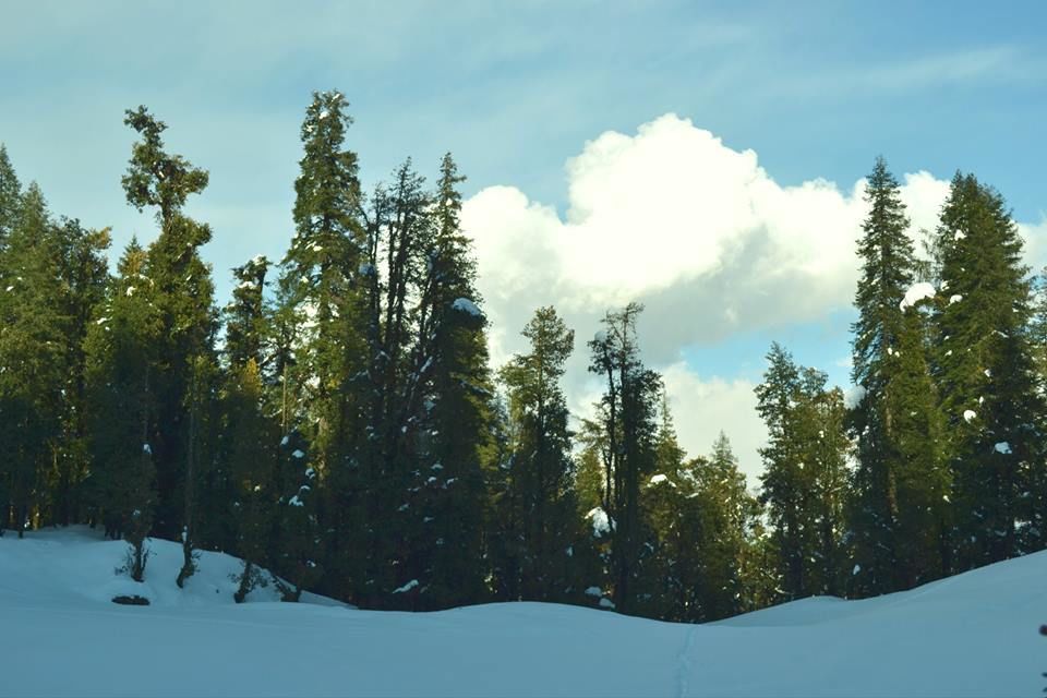 Photo of The Heights of Uttarakhand 11/15 by Kaushik Banerjee