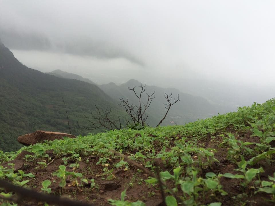 Photo of Trek tale!! 2300 ft. 17/18 by Anshuman Mandloi