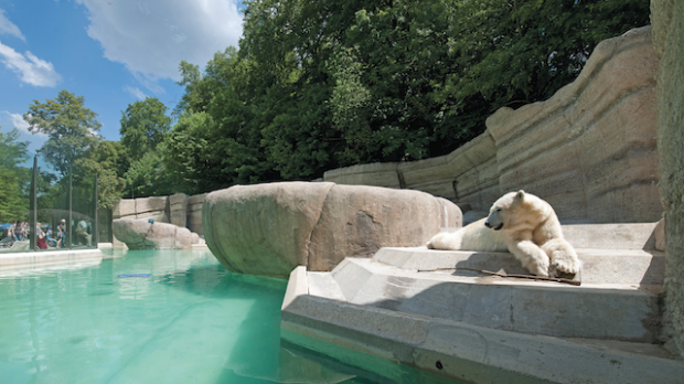 Photo of List of Places You Shouldn’t Miss If You’re Travelling to Munich! 4/4 by Mariya Marth