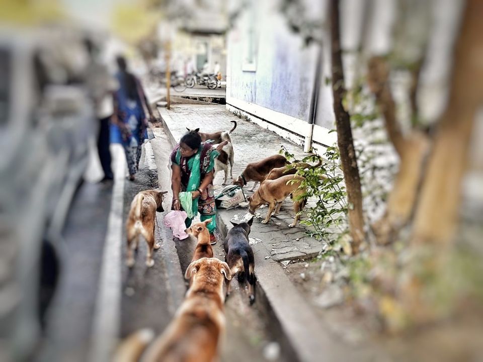 Photo of Travel Blog - Pondicherry In Pictures | StyleRug 5/8 by Sandeep Verma