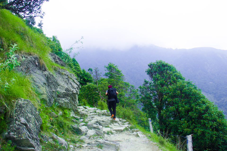 Photo of Triund: It begins here. 6/13 by Sarika Nerurkar