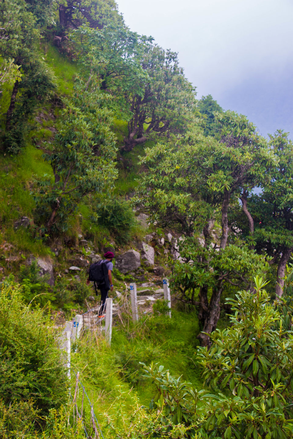 Photo of Triund: It begins here. 7/13 by Sarika Nerurkar