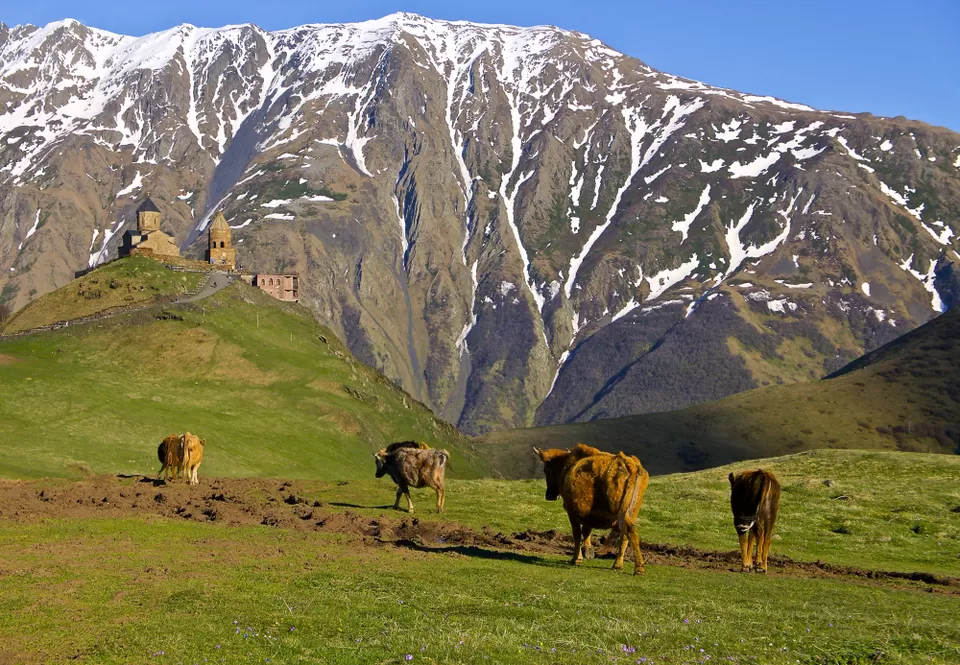 Photo of Gergeti Trinity Church, Mtskheta-Mtianeti, Georgia by Priyanka Banerjee