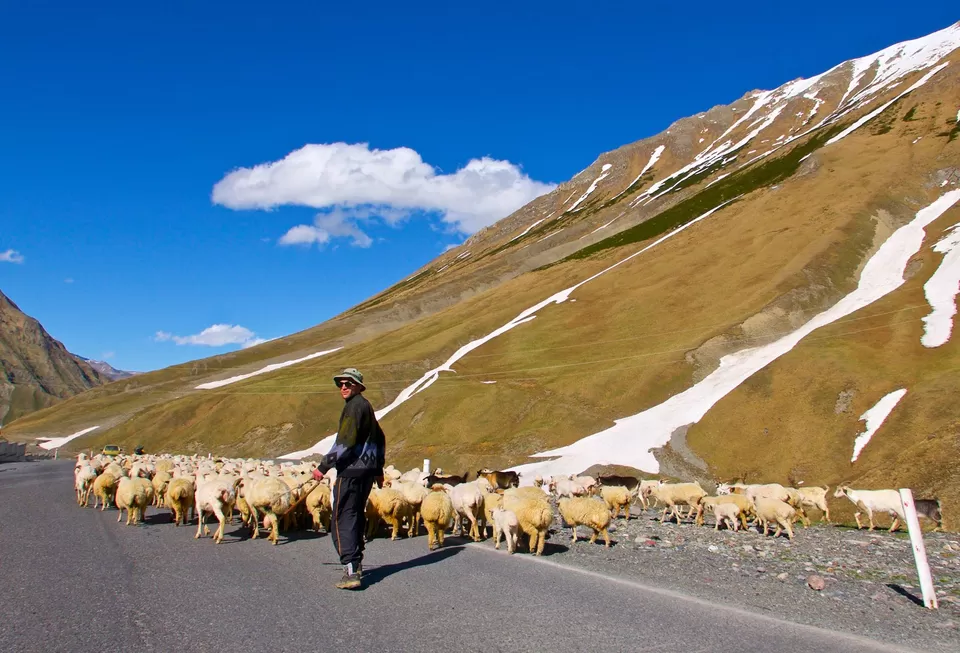 Photo of Stepantsminda, Mtskheta-Mtianeti, Georgia by Priyanka Banerjee