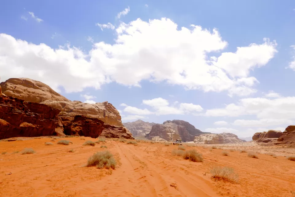 Photo of Rum, Rum, Jordan by Priyanka Banerjee