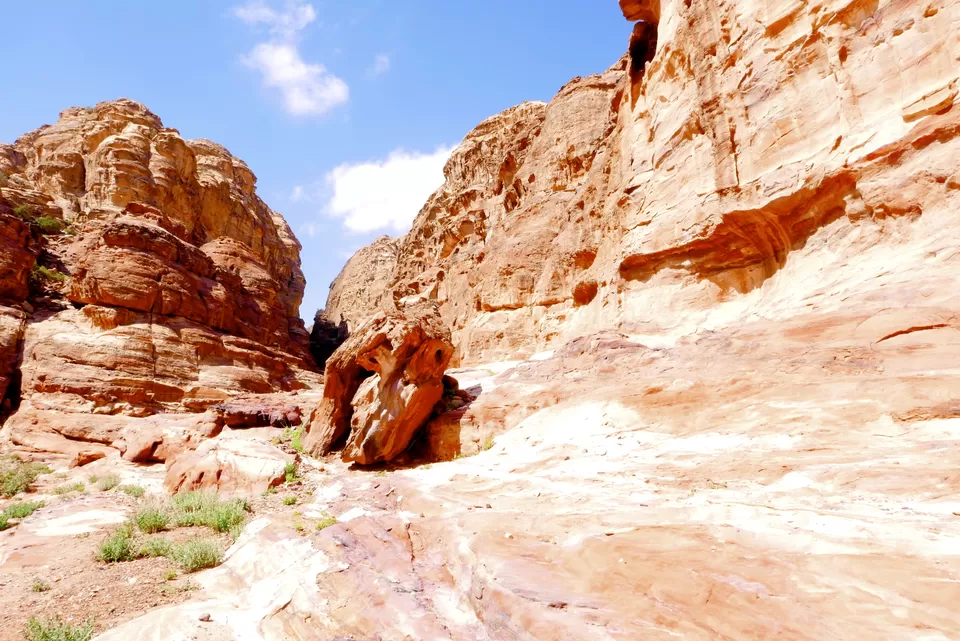 Photo of Wadi Rum Camping, Near to Lawrance House, Rum Valley, Wadi Rumm, Wadi Rum, Aqaba Province , Wadi Rum Natural Reserve, Aqaba, Jordan by Priyanka Banerjee