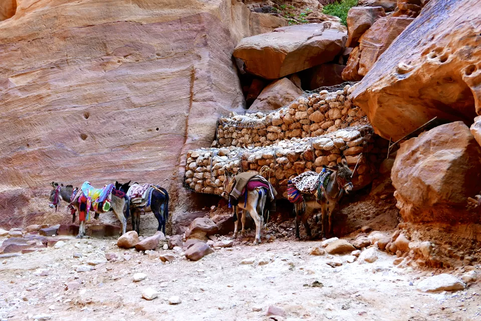 Photo of Wadi Musa, Wadi Musa, Jordan by Priyanka Banerjee