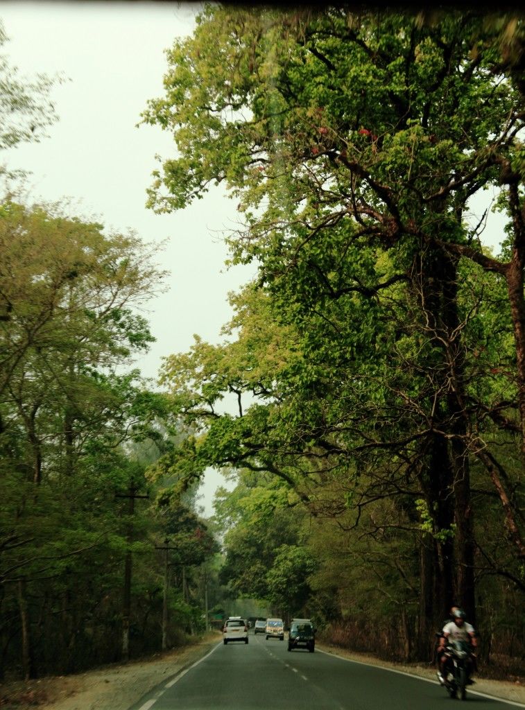 Photo of A hamlet called Tinchuley 1/12 by Harsh Singh