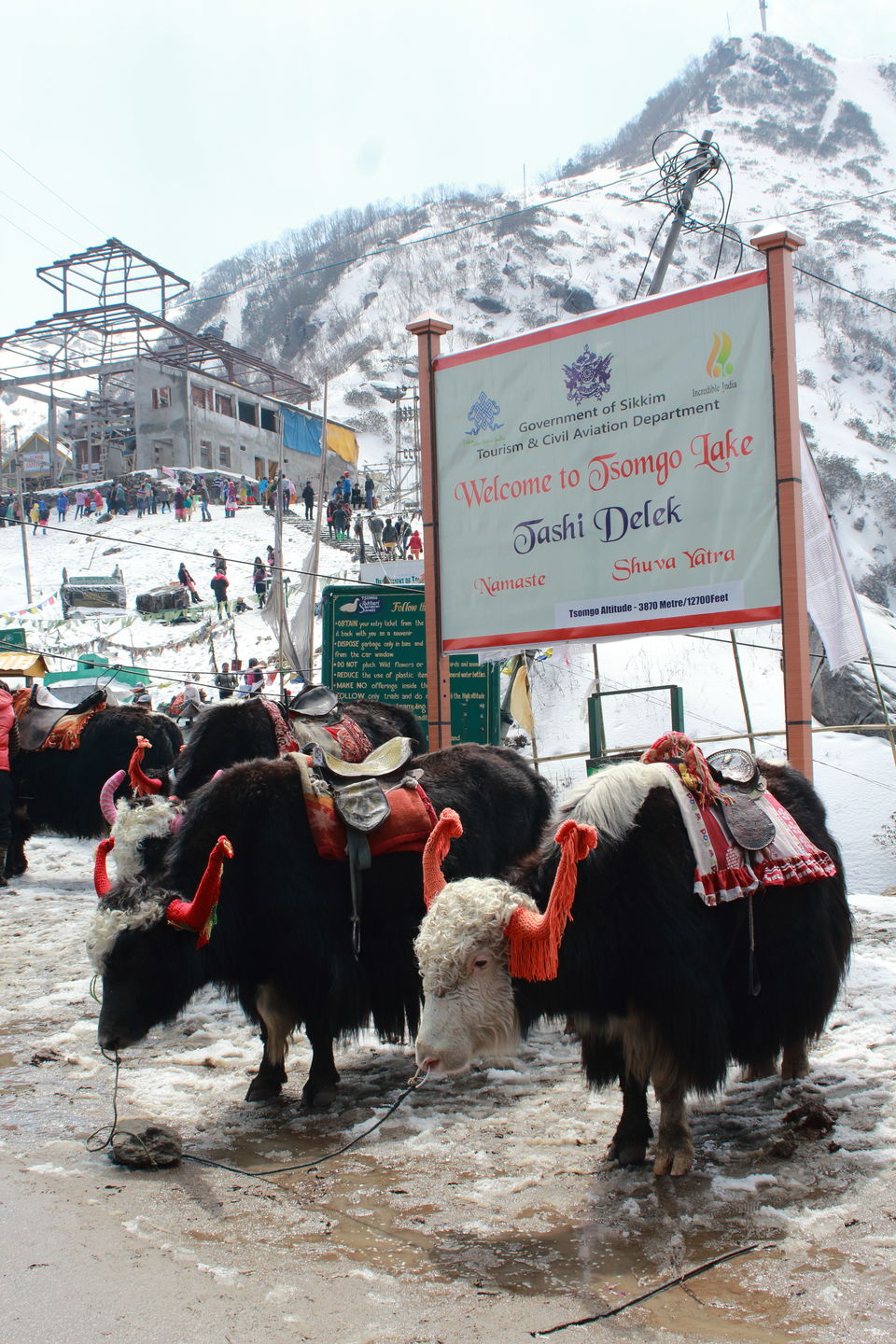 Photo of A hamlet called Tinchuley 7/12 by Harsh Singh