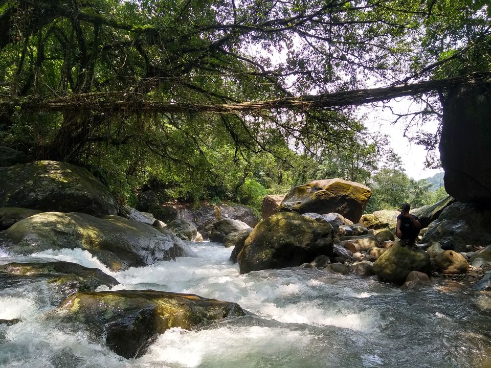 Photo of Nongriat, Meghalaya, India by Harsh Singh