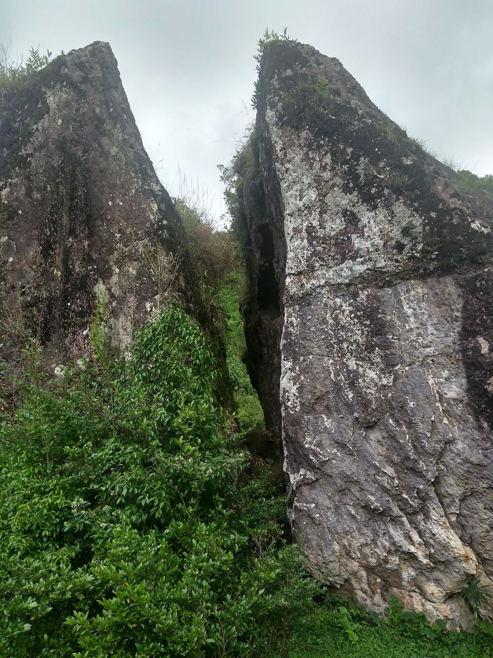 Photo of David Scott Trail rock Bridge, Meghalaya, India by Harsh Singh