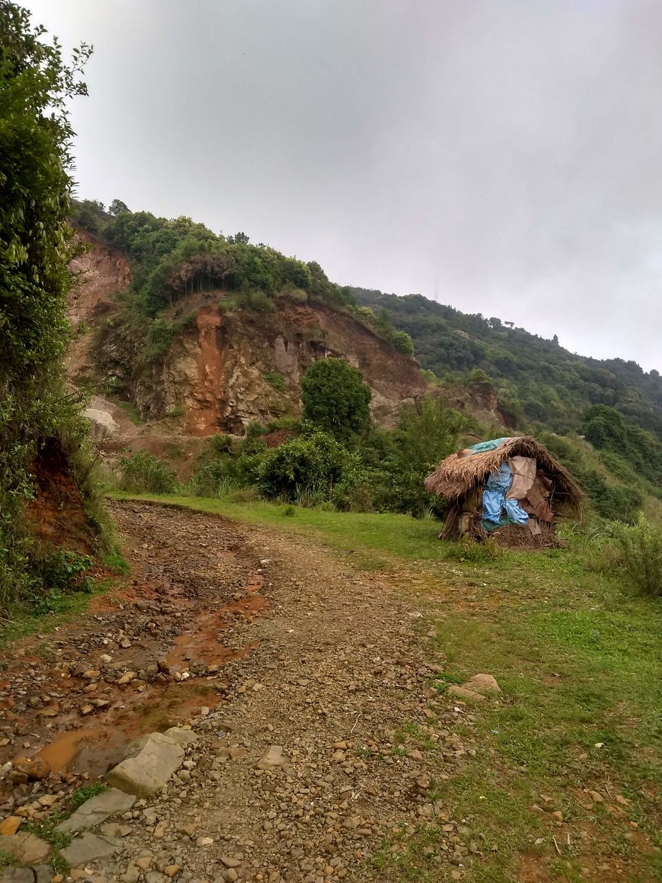 Photo of David Scott Trail rock Bridge, Meghalaya, India by Harsh Singh