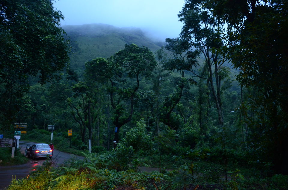Photo of Chasing monsoon in western ghats 1/1 by Yashaswini Dwarakinath