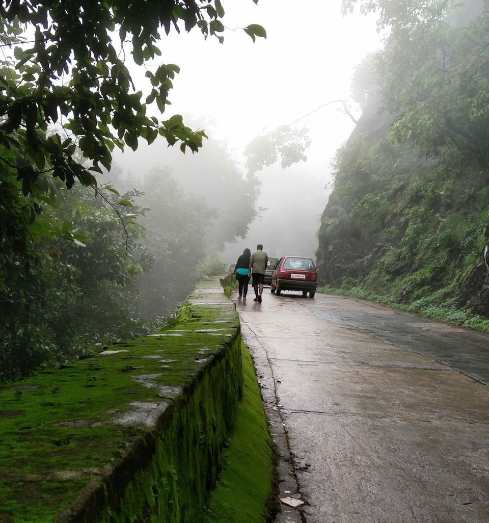 Photo of Agumbe, Karnataka, India by Yashaswini Dwarakinath