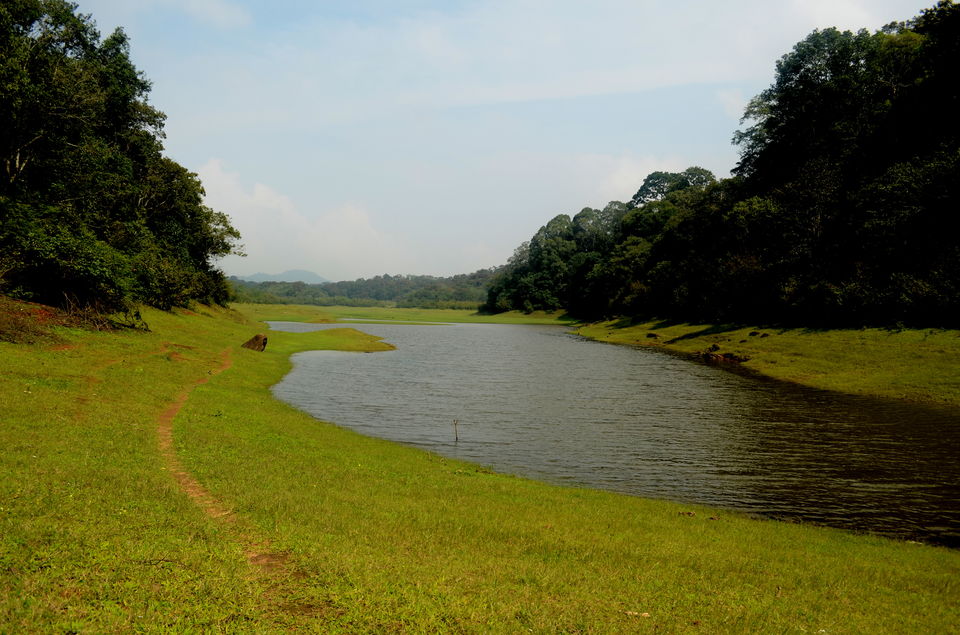 Photo of Thekkady, Kumily, Kerala, India by Yashaswini Dwarakinath