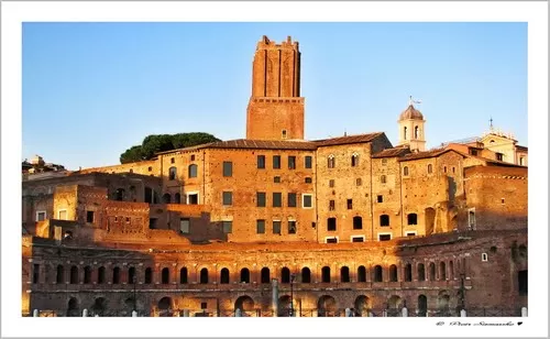Photo of Roman Forum, Rome, Italy by Tiziana Gargaro