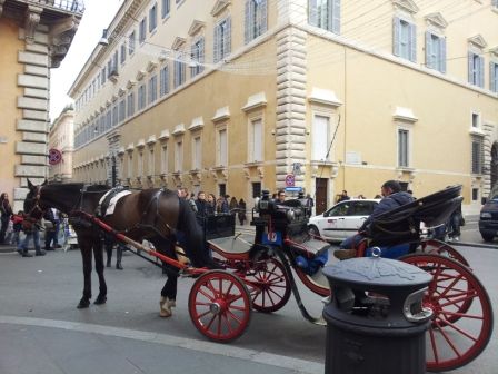 Photo of Rome Highlights Private Tour 8/12 by Tiziana Gargaro