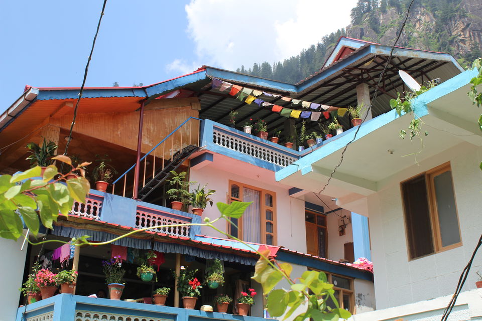 Photo of Searching the offbeat in Manali by Sudhir