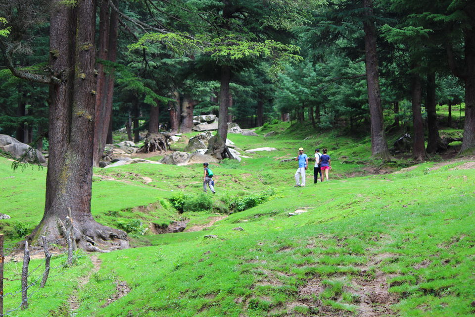 Photo of Searching the offbeat in Manali by Sudhir