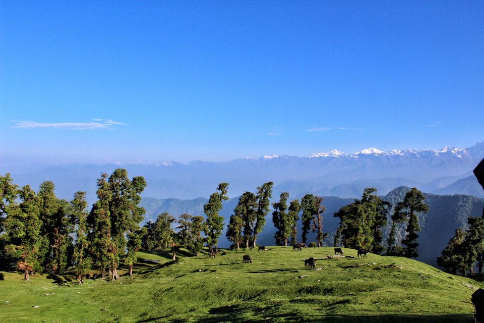 Photo of Chopta, You beauty : Chopta, Tungnath, Chandrashila, Deoria Tal 1/1 by Sudhir