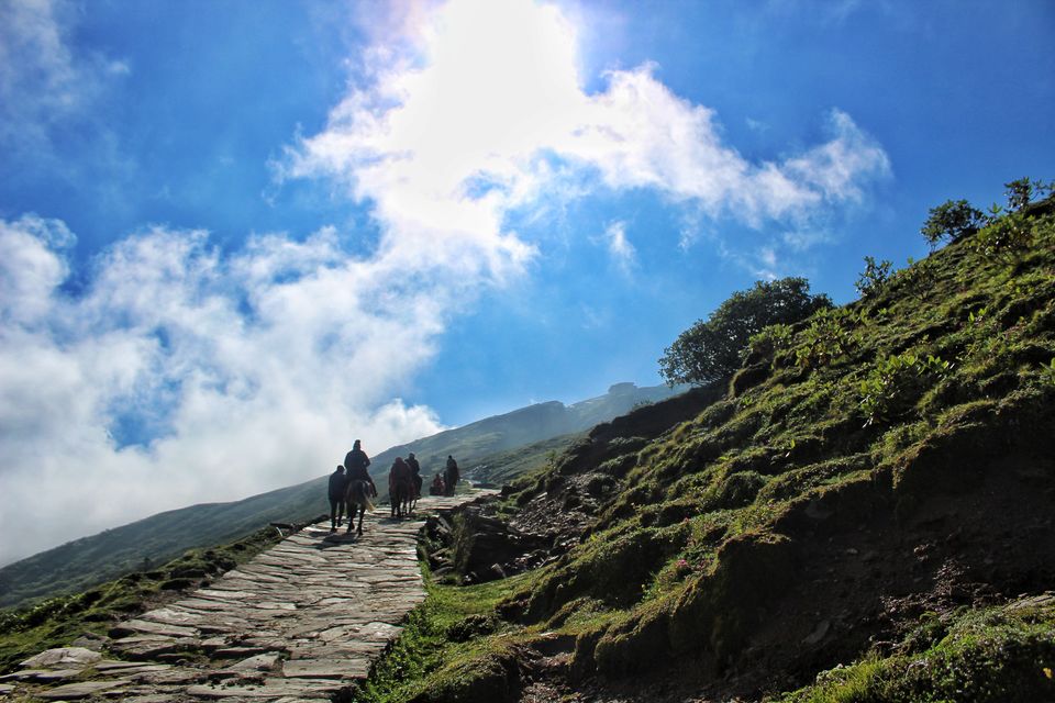 Photo of Chopta, You beauty : Chopta, Tungnath, Chandrashila, Deoria Tal by Sudhir