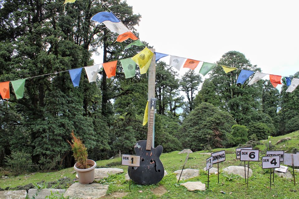 Photo of Chopta, Uttarakhand, India by Sudhir