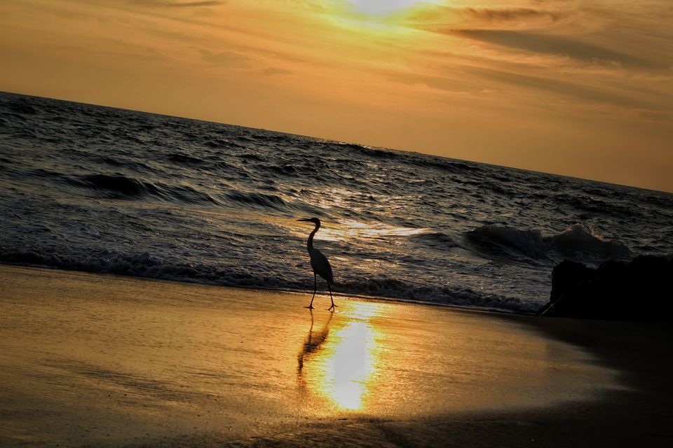 Photo of Escape the confines in - Varkala / Alleppey by Sudhir