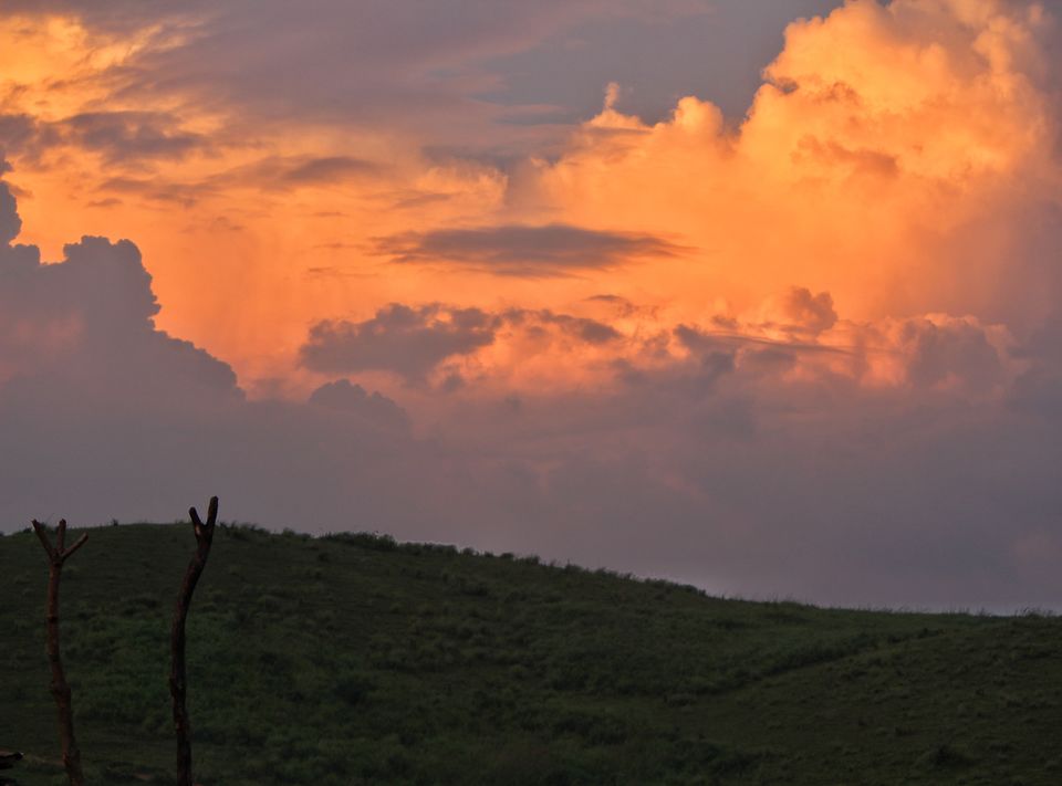 Photo of The wild and The calm Kerala - Thekkady, Gavi by Sudhir