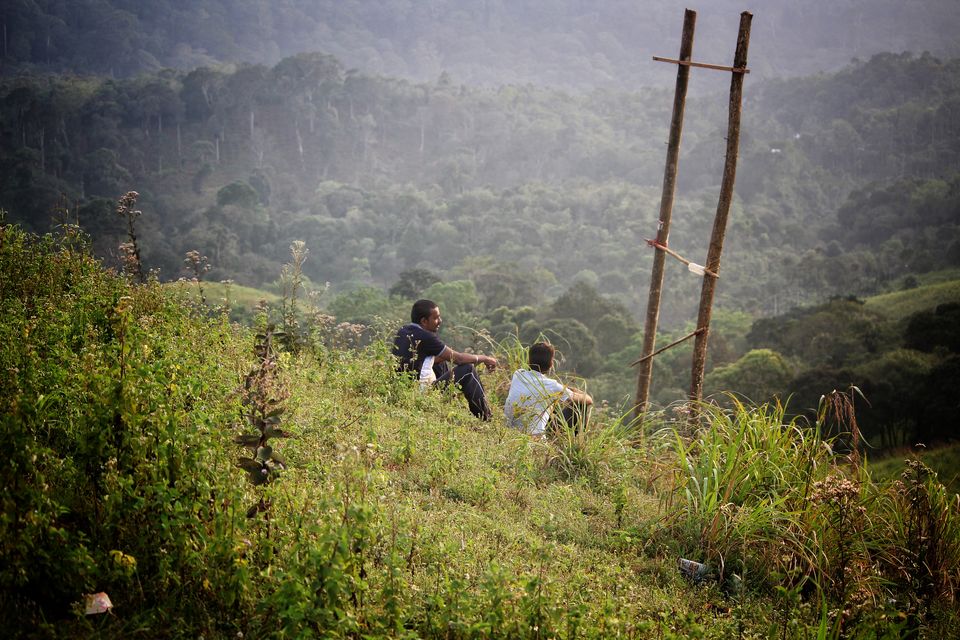 Photo of The wild and The calm Kerala - Thekkady, Gavi by Sudhir