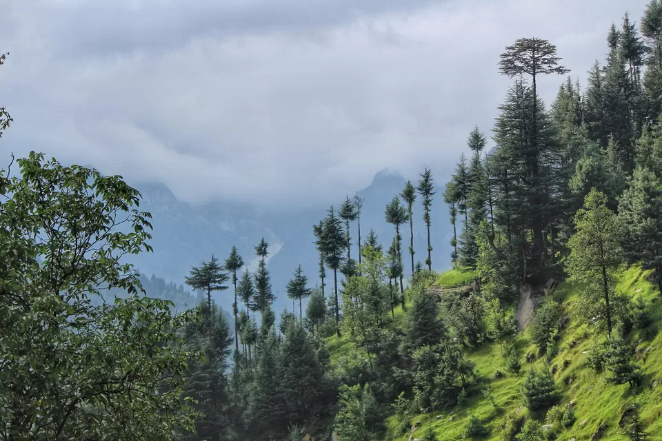 Photo of Jogini Falls, Road, Bashisht, Himachal Pradesh, India by Sudhir