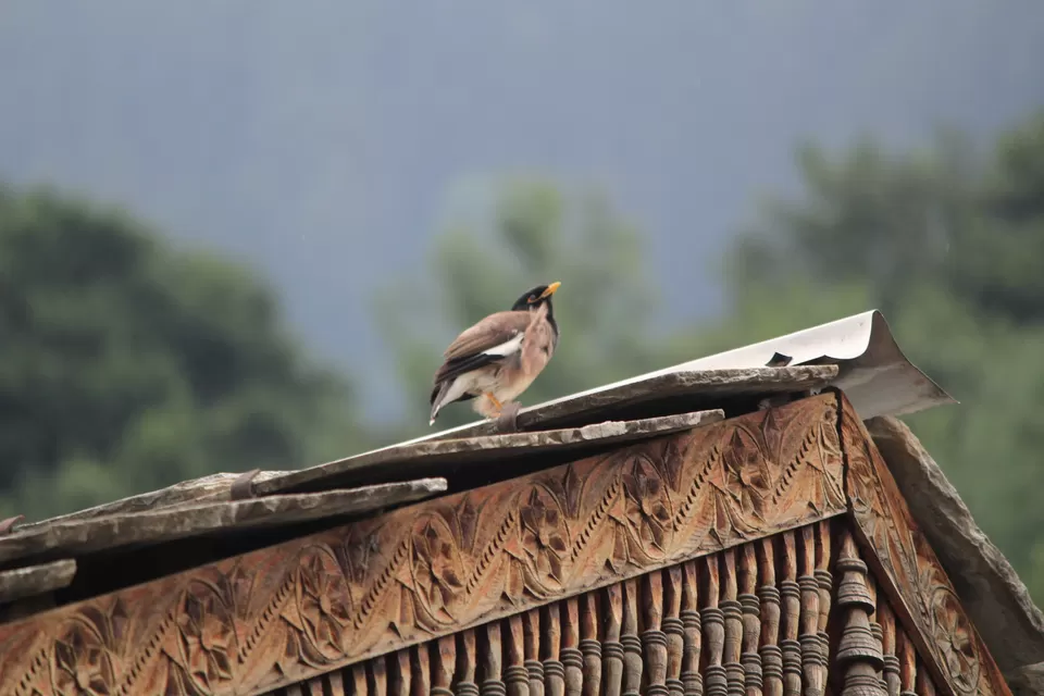 Photo of Vashisht, Himachal Pradesh, India by Sudhir
