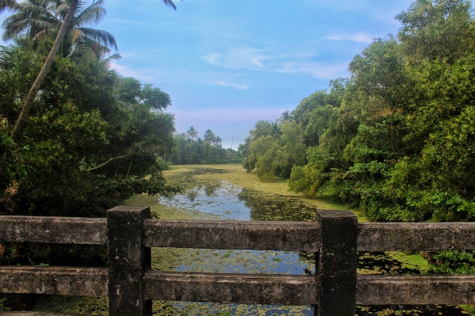 Photo of Escape the confines in - Varkala / Alleppey by Sudhir