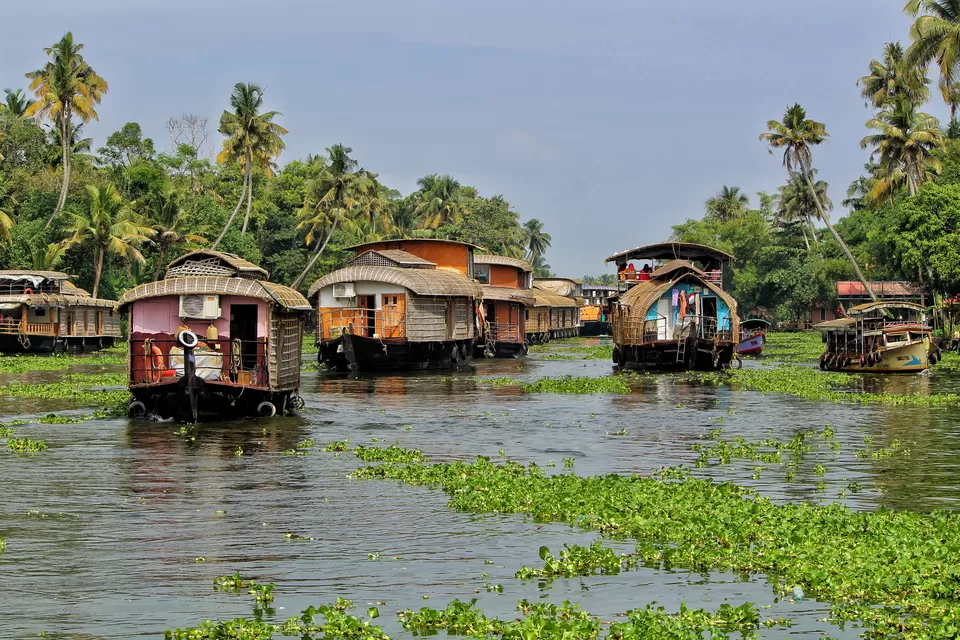 Photo of Alleppey, Kerala, India by Sudhir