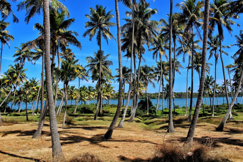 Photo of Kollam, Kerala, India by Sudhir