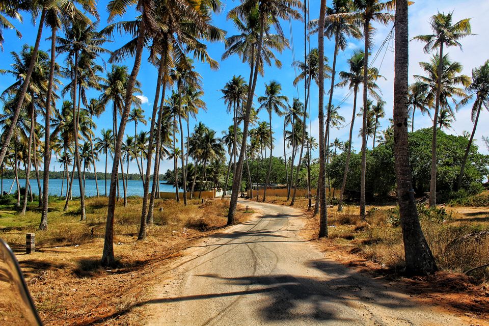 Photo of Escape the confines in - Varkala / Alleppey by Sudhir